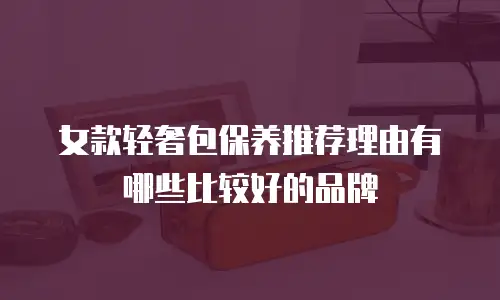 女款轻奢包保养推荐理由有哪些比较好的品牌