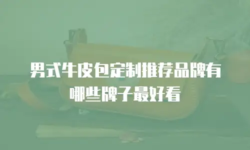 男式牛皮包定制推荐品牌有哪些牌子最好看