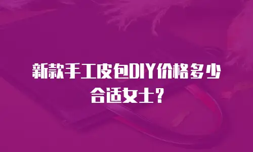 新款手工皮包DIY价格多少合适女士？