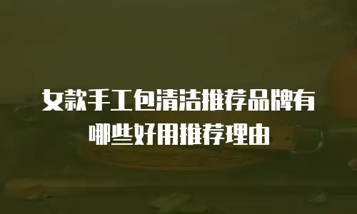 女款手工包清洁推荐品牌有哪些好用推荐理由