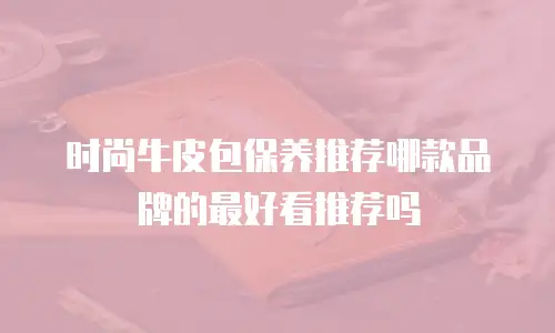时尚牛皮包保养推荐哪款品牌的最好看推荐吗