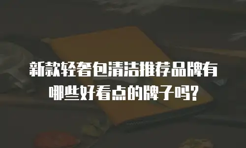 新款轻奢包清洁推荐品牌有哪些好看点的牌子吗?