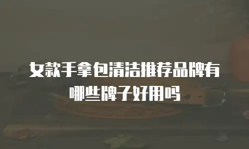 女款手拿包清洁推荐品牌有哪些牌子好用吗