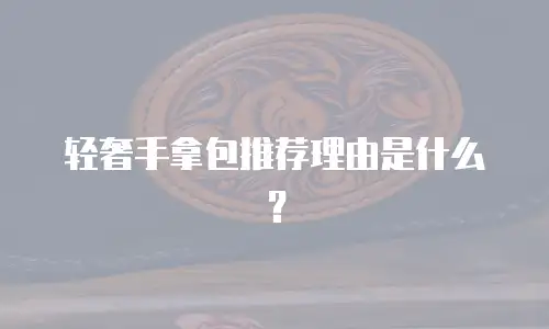 轻奢手拿包推荐理由是什么？