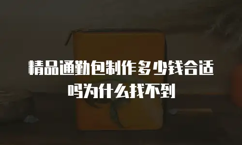精品通勤包制作多少钱合适吗为什么找不到