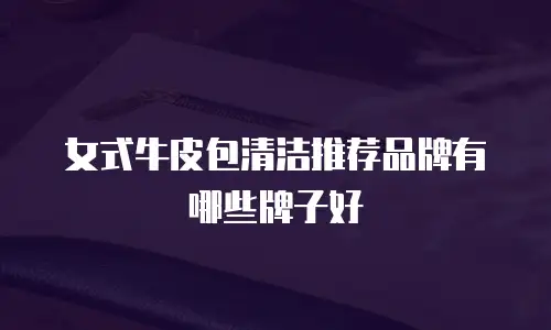 女式牛皮包清洁推荐品牌有哪些牌子好