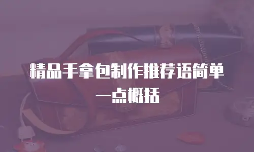 精品手拿包制作推荐语简单一点概括