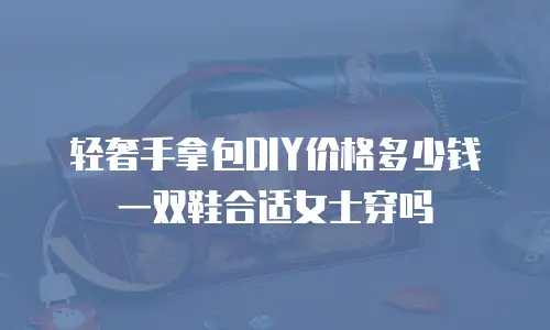 轻奢手拿包DIY价格多少钱一双鞋合适女士穿吗