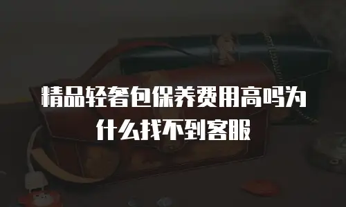 精品轻奢包保养费用高吗为什么找不到客服