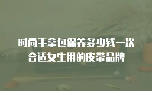 时尚手拿包保养多少钱一次合适女生用的皮带品牌