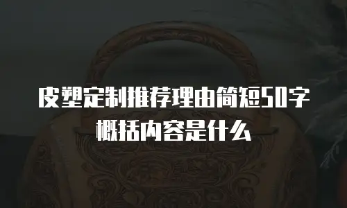 皮塑定制推荐理由简短50字概括内容是什么