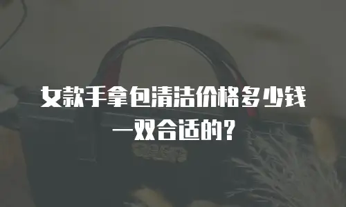 女款手拿包清洁价格多少钱一双合适的？