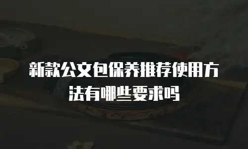新款公文包保养推荐使用方法有哪些要求吗