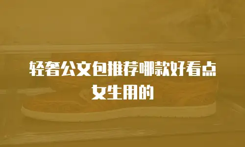 轻奢公文包推荐哪款好看点女生用的
