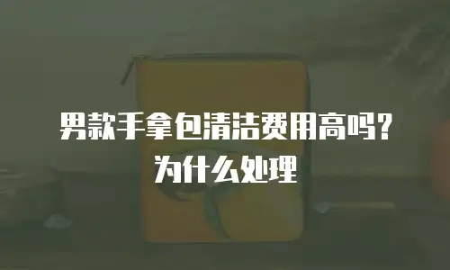 男款手拿包清洁费用高吗？为什么处理