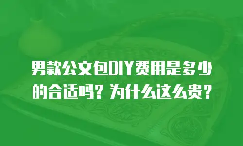 男款公文包DIY费用是多少的合适吗？为什么这么贵？