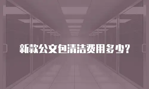 新款公文包清洁费用多少？
