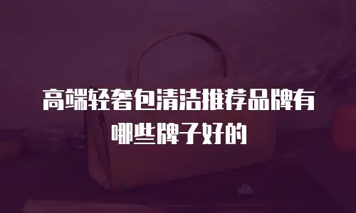 高端轻奢包清洁推荐品牌有哪些牌子好的