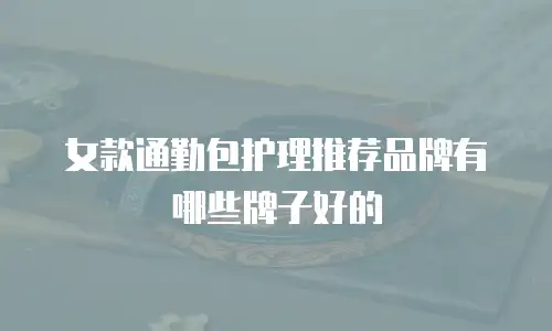 女款通勤包护理推荐品牌有哪些牌子好的