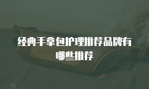 经典手拿包护理推荐品牌有哪些推荐
