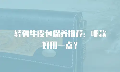 轻奢牛皮包保养推荐：哪款好用一点？