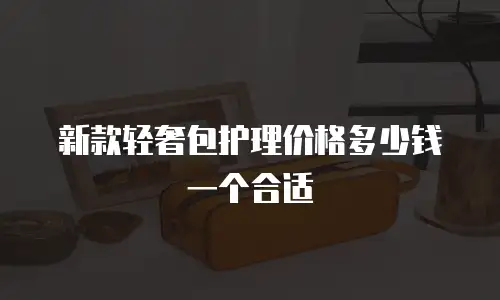 新款轻奢包护理价格多少钱一个合适