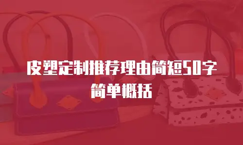 皮塑定制推荐理由简短50字简单概括