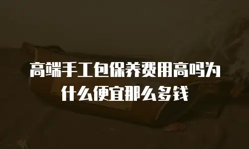 高端手工包保养费用高吗为什么便宜那么多钱