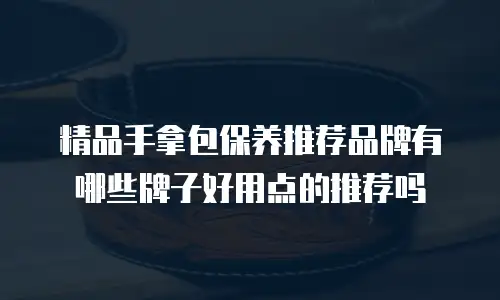 精品手拿包保养推荐品牌有哪些牌子好用点的推荐吗