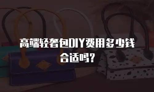 高端轻奢包DIY费用多少钱合适吗？