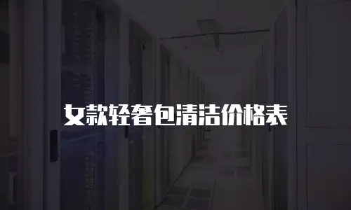 女款轻奢包清洁价格表
