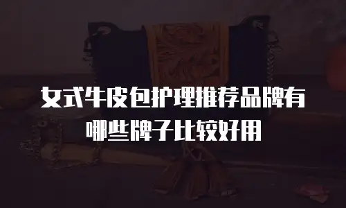 女式牛皮包护理推荐品牌有哪些牌子比较好用