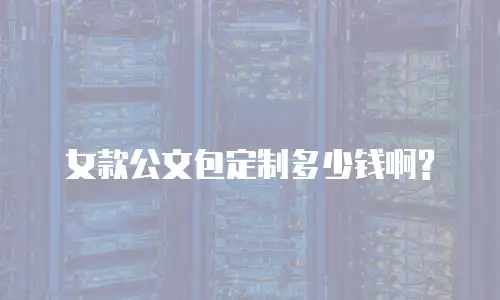 女款公文包定制多少钱啊?