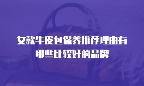 女款牛皮包保养推荐理由有哪些比较好的品牌