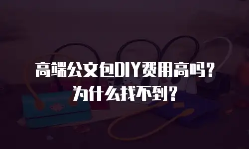 高端公文包DIY费用高吗？为什么找不到？