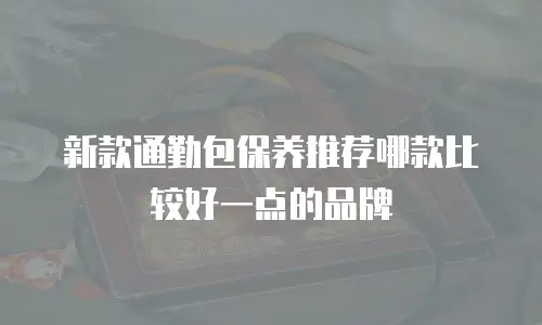 新款通勤包保养推荐哪款比较好一点的品牌