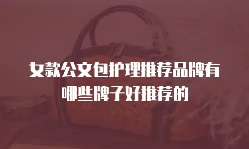女款公文包护理推荐品牌有哪些牌子好推荐的