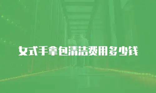 女式手拿包清洁费用多少钱