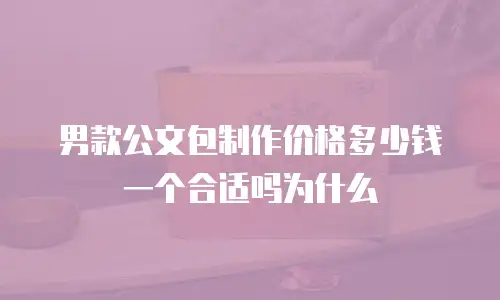 男款公文包制作价格多少钱一个合适吗为什么