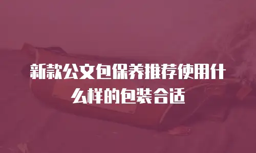 新款公文包保养推荐使用什么样的包装合适