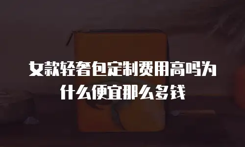 女款轻奢包定制费用高吗为什么便宜那么多钱