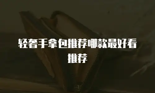 轻奢手拿包推荐哪款最好看推荐