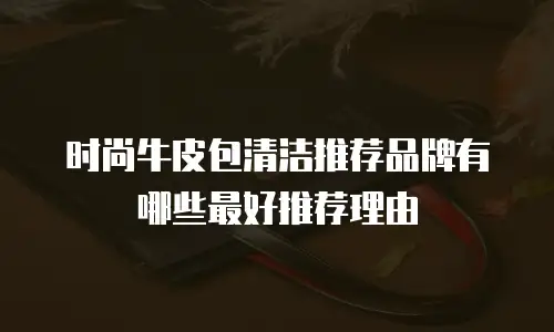 时尚牛皮包清洁推荐品牌有哪些最好推荐理由