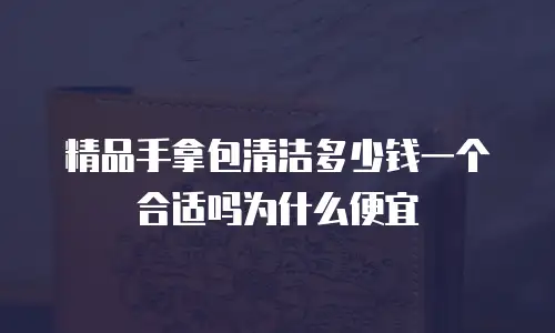 精品手拿包清洁多少钱一个合适吗为什么便宜