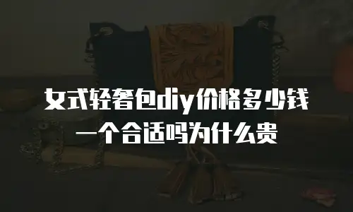 女式轻奢包diy价格多少钱一个合适吗为什么贵
