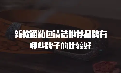 新款通勤包清洁推荐品牌有哪些牌子的比较好