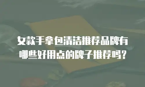 女款手拿包清洁推荐品牌有哪些好用点的牌子推荐吗？