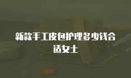 新款手工皮包护理多少钱合适女士