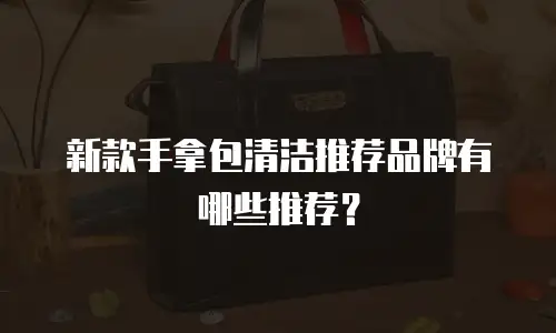 新款手拿包清洁推荐品牌有哪些推荐？