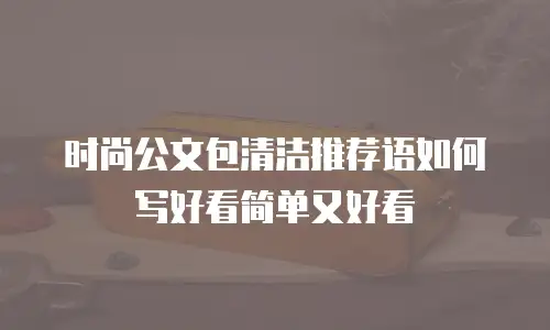时尚公文包清洁推荐语如何写好看简单又好看